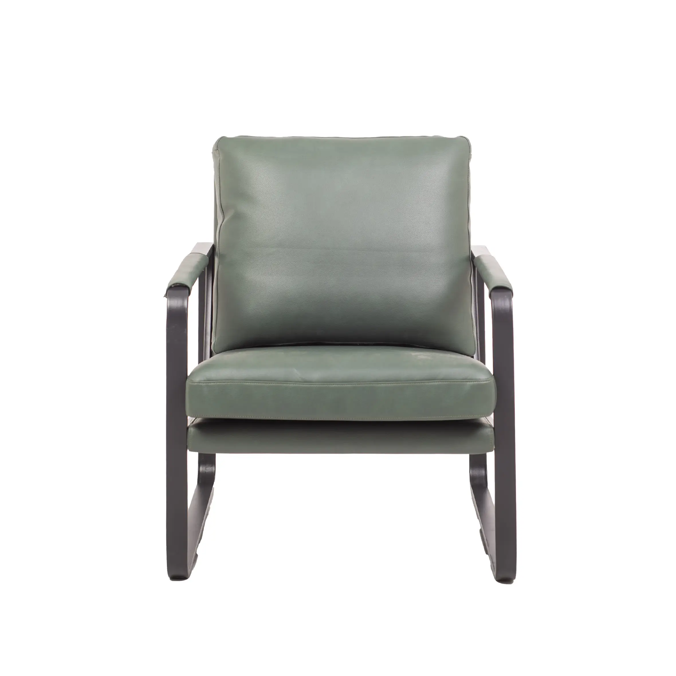 Modern living room with a green armchair on a geometric rug, surrounded by a tall floor lamp, potted plant, and a tall bookshelf filled with books.