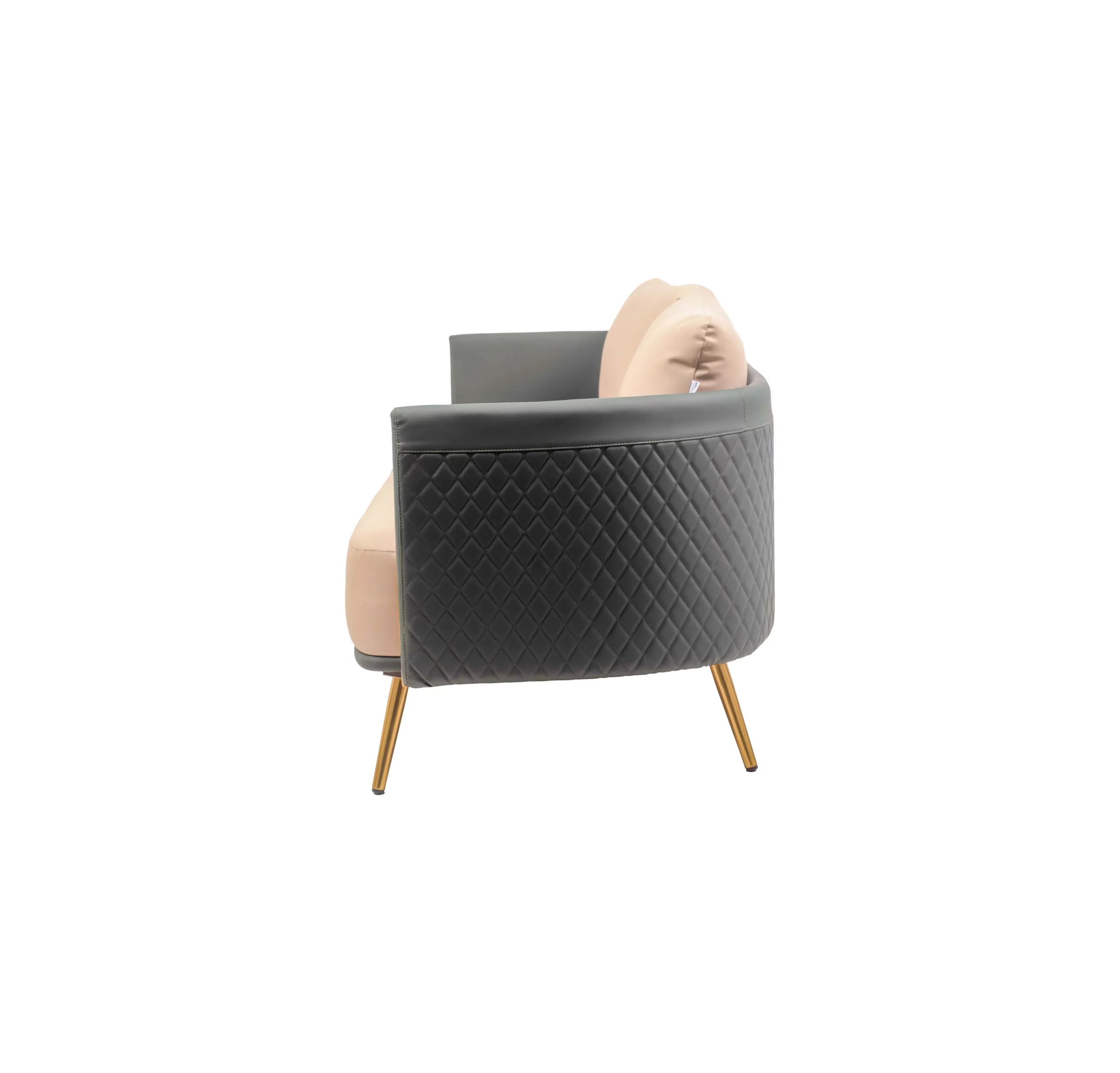 Modern beige sofa with dark armrests and gold legs in a stylish living room. Two abstract paintings and a potted plant add elegance and warmth.