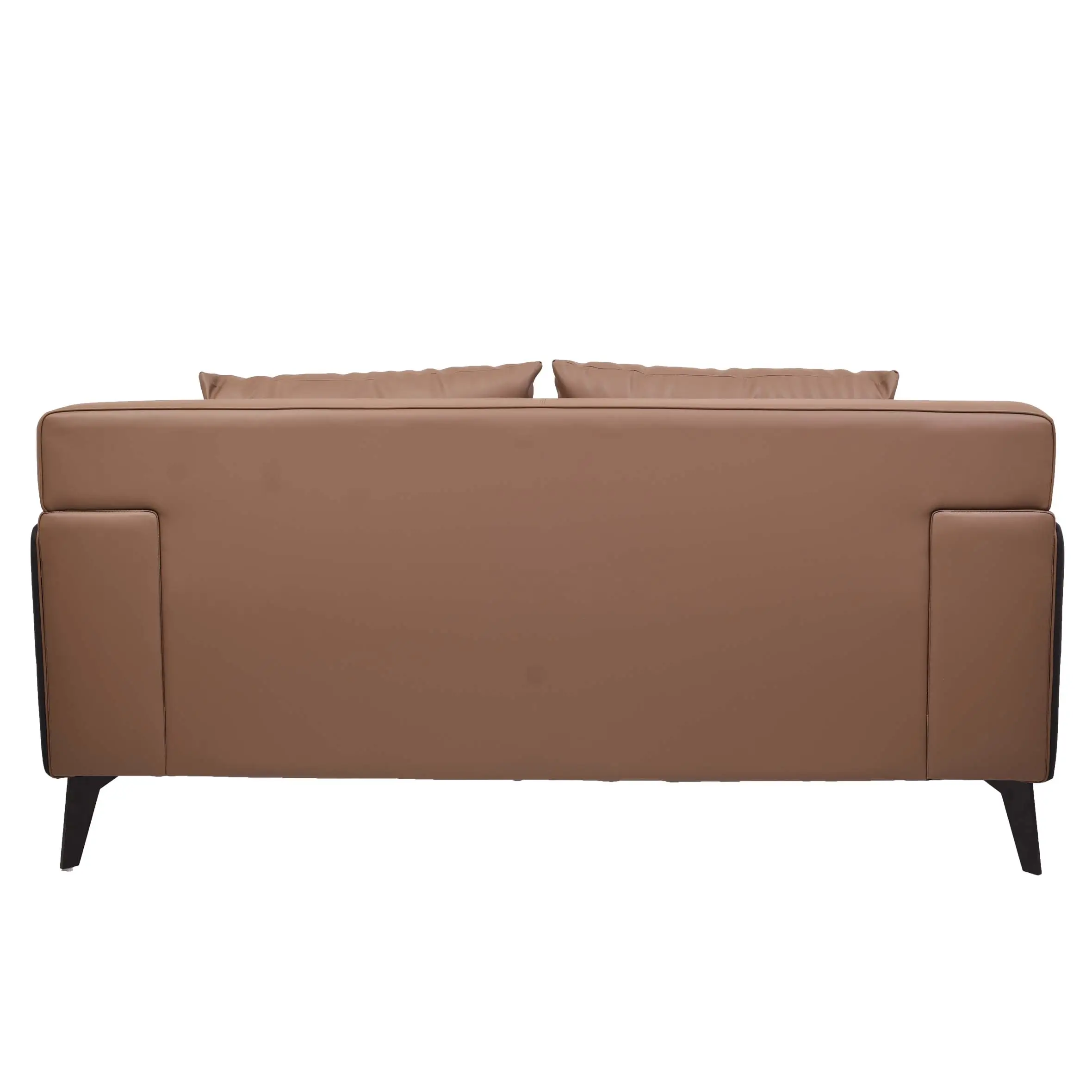 Brown and black modern sofa on a white rug in a minimalist room. Flanked by two green plants and a round black metal side table, conveying calmness.