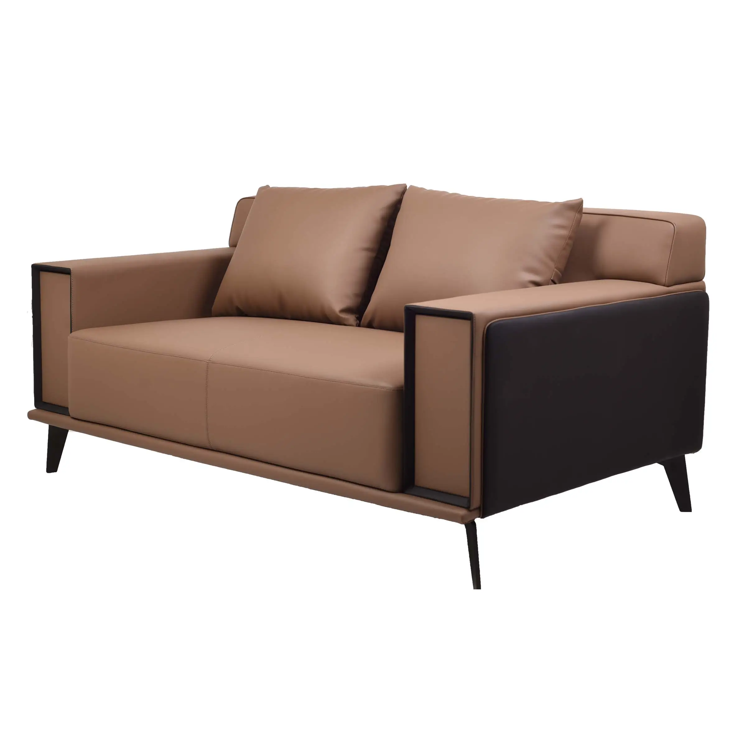 Brown and black modern sofa on a white rug in a minimalist room. Flanked by two green plants and a round black metal side table, conveying calmness.