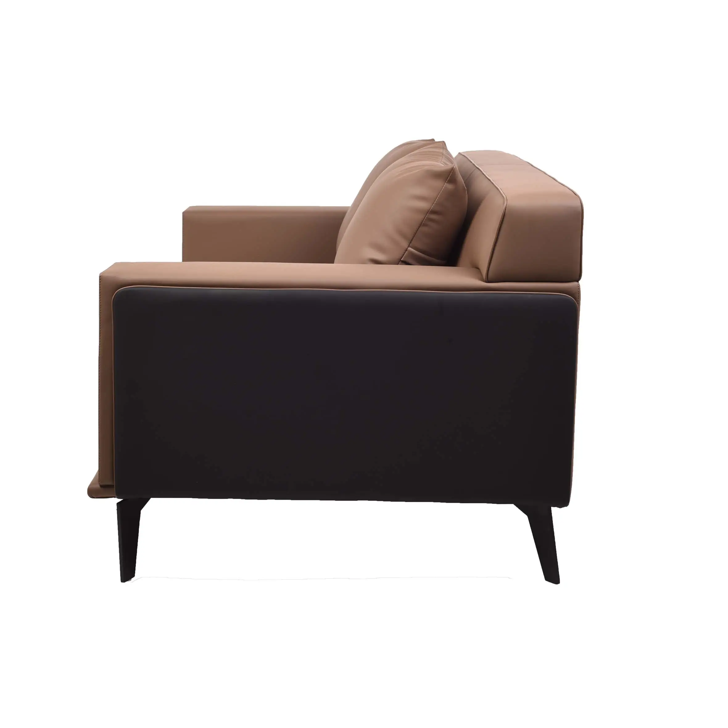 Brown and black modern sofa on a white rug in a minimalist room. Flanked by two green plants and a round black metal side table, conveying calmness.