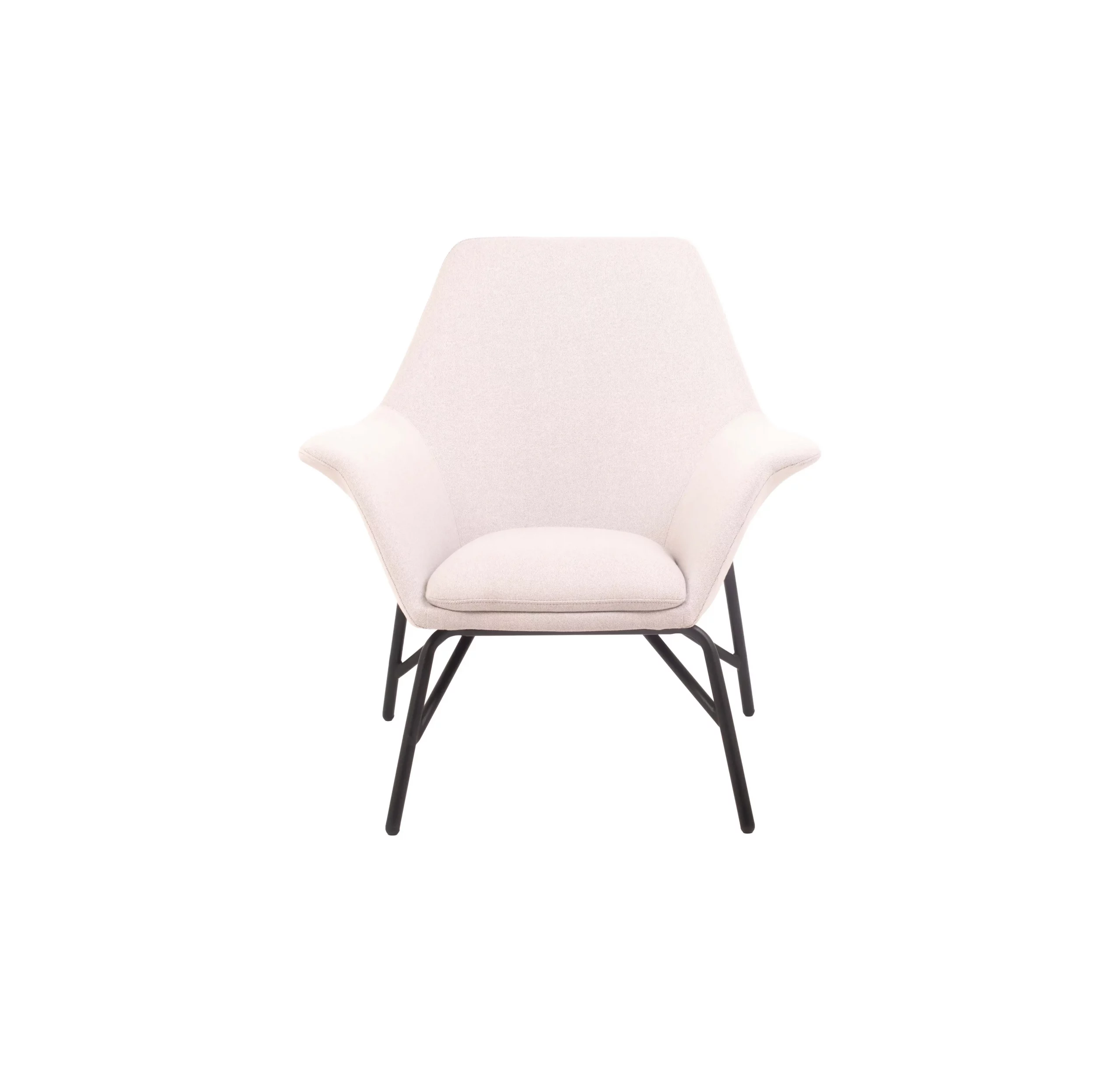 Modern interior with a beige armchair on a light rug, beside a potted plant. Shelving in the background holds books and decor, creating a calm atmosphere.