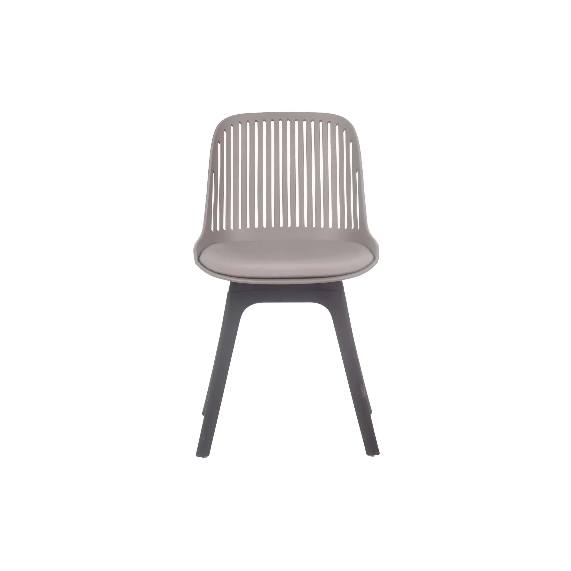 Rows of empty light gray chairs are arranged in a bright conference room. A large projection screen is in front, with natural light filtering through windows and a potted plant in view.