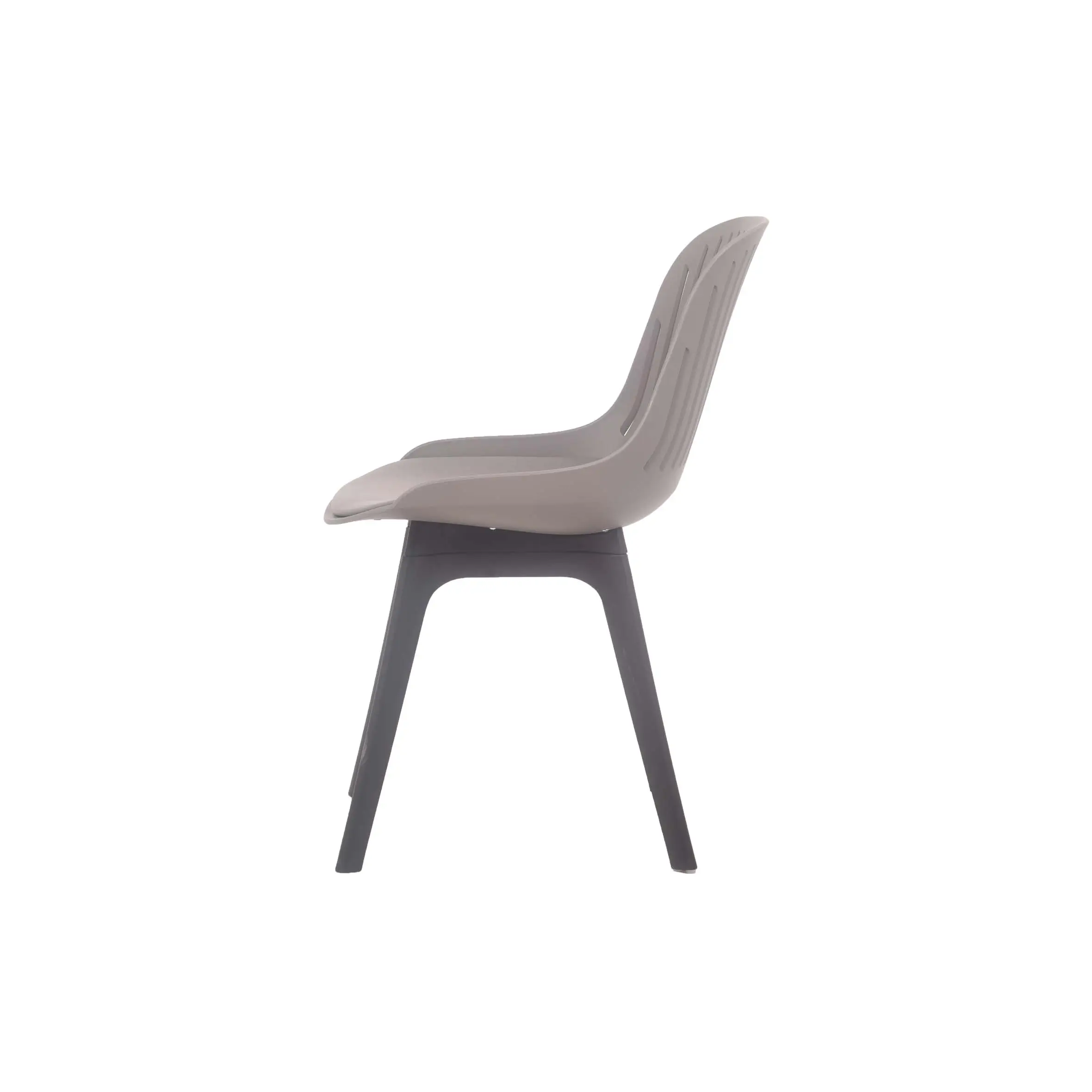 Rows of empty light gray chairs are arranged in a bright conference room. A large projection screen is in front, with natural light filtering through windows and a potted plant in view.