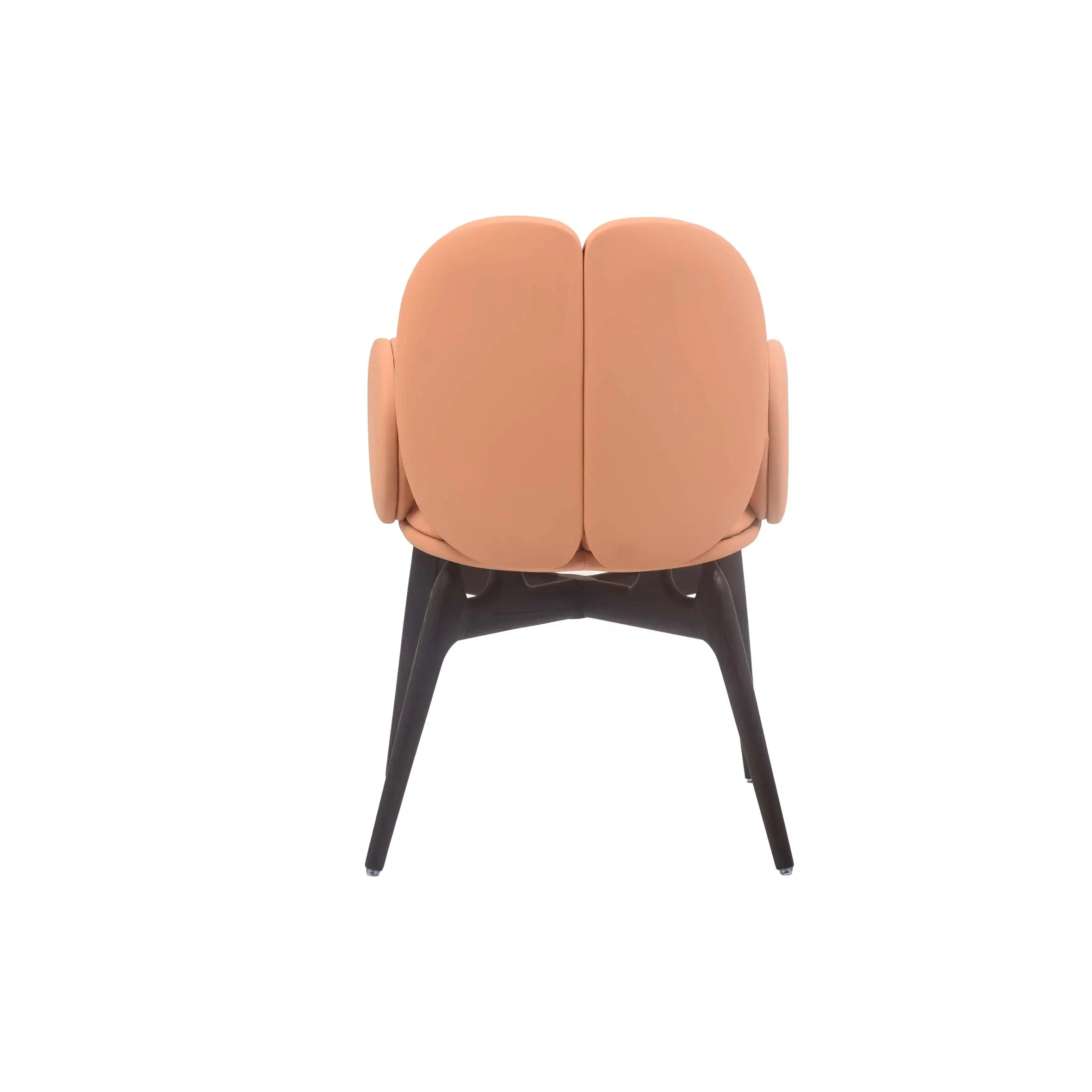 Modern room with peach chair on black-and-white striped rug. Large windows and vibrant green plants create a fresh, inviting atmosphere.