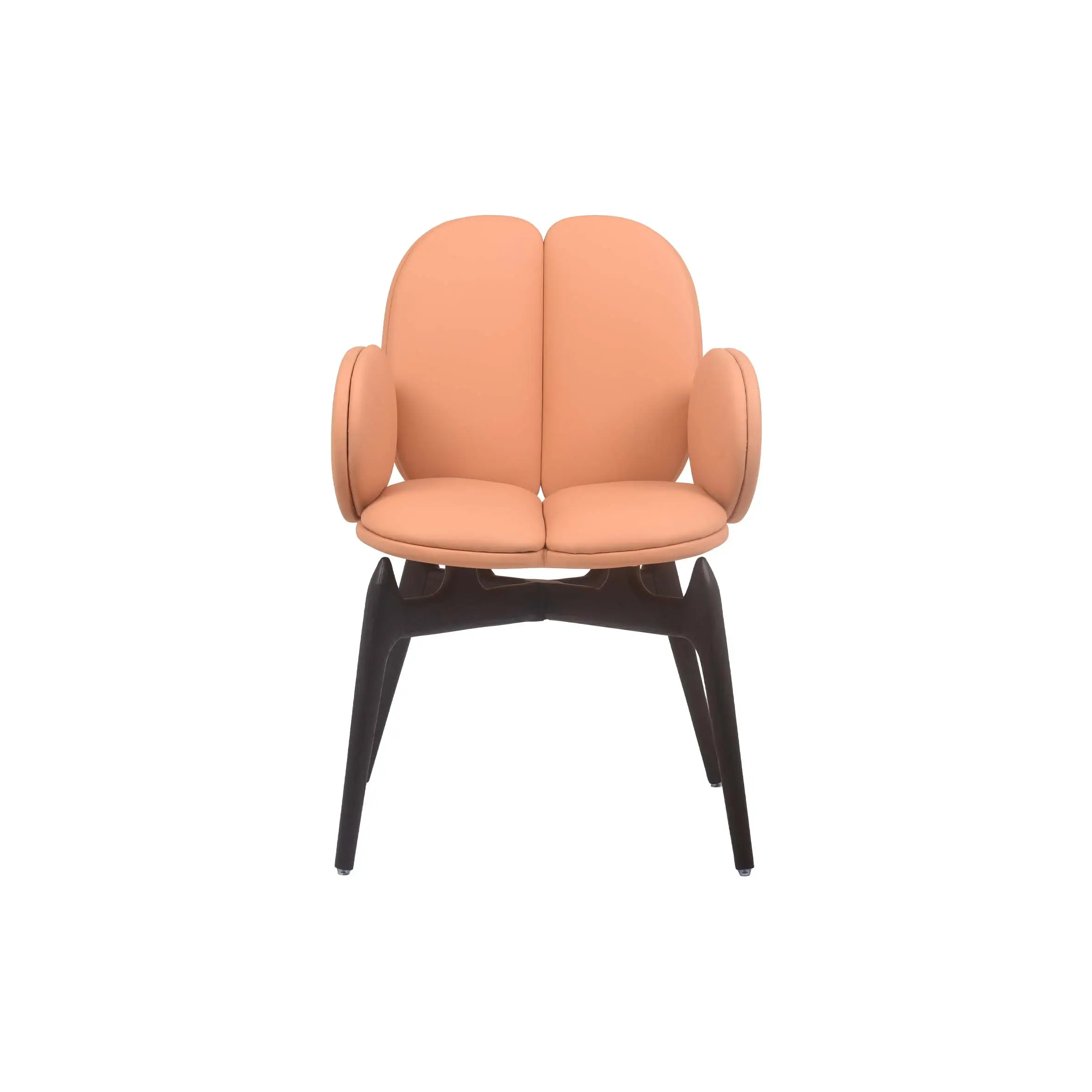 Modern room with peach chair on black-and-white striped rug. Large windows and vibrant green plants create a fresh, inviting atmosphere.