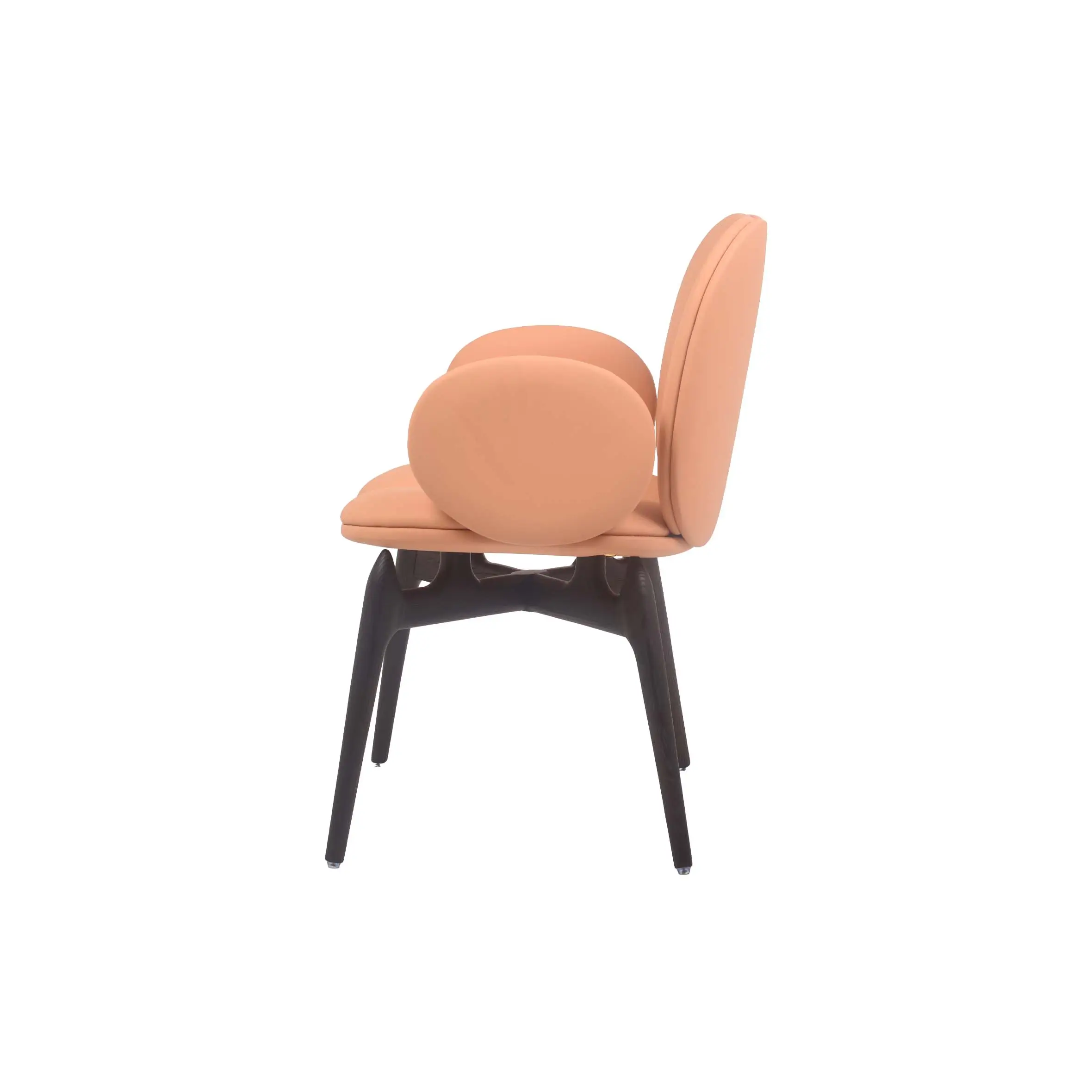 Modern room with peach chair on black-and-white striped rug. Large windows and vibrant green plants create a fresh, inviting atmosphere.