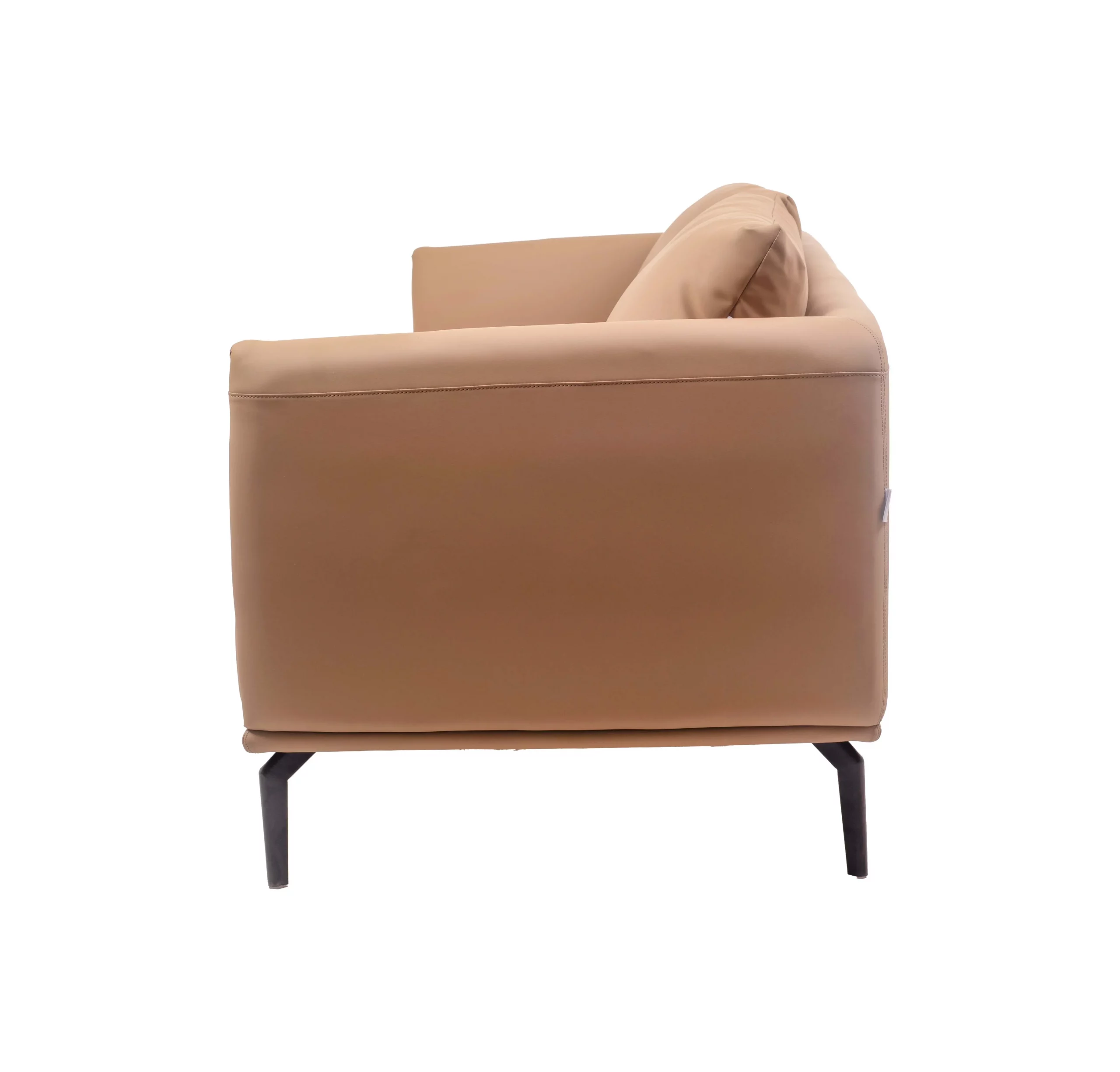 A modern, minimalist living room with a beige sofa in front of a wooden slatted wall. A textured rug is on the floor, and a green plant is beside the sofa.