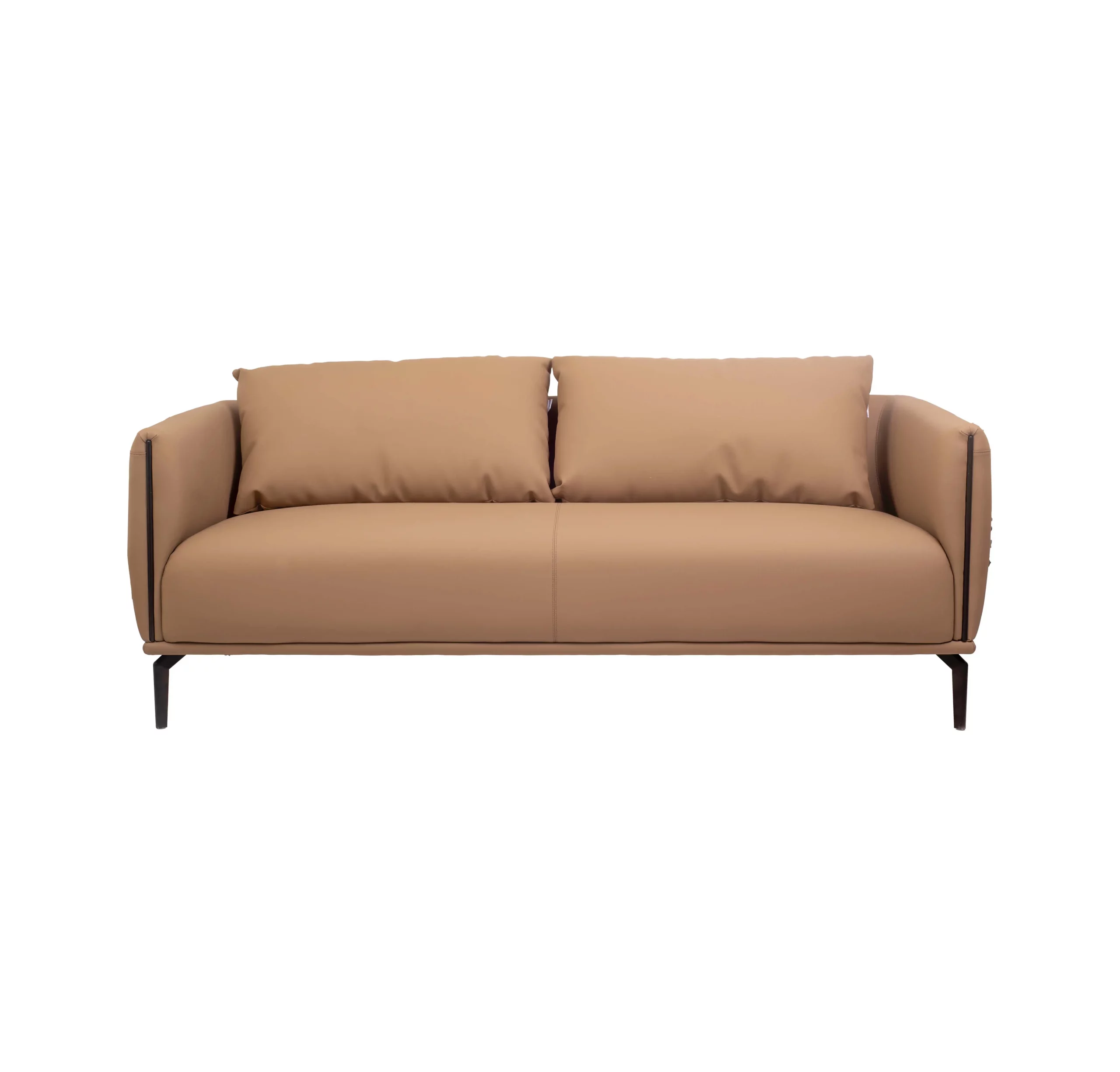 A modern, minimalist living room with a beige sofa in front of a wooden slatted wall. A textured rug is on the floor, and a green plant is beside the sofa.