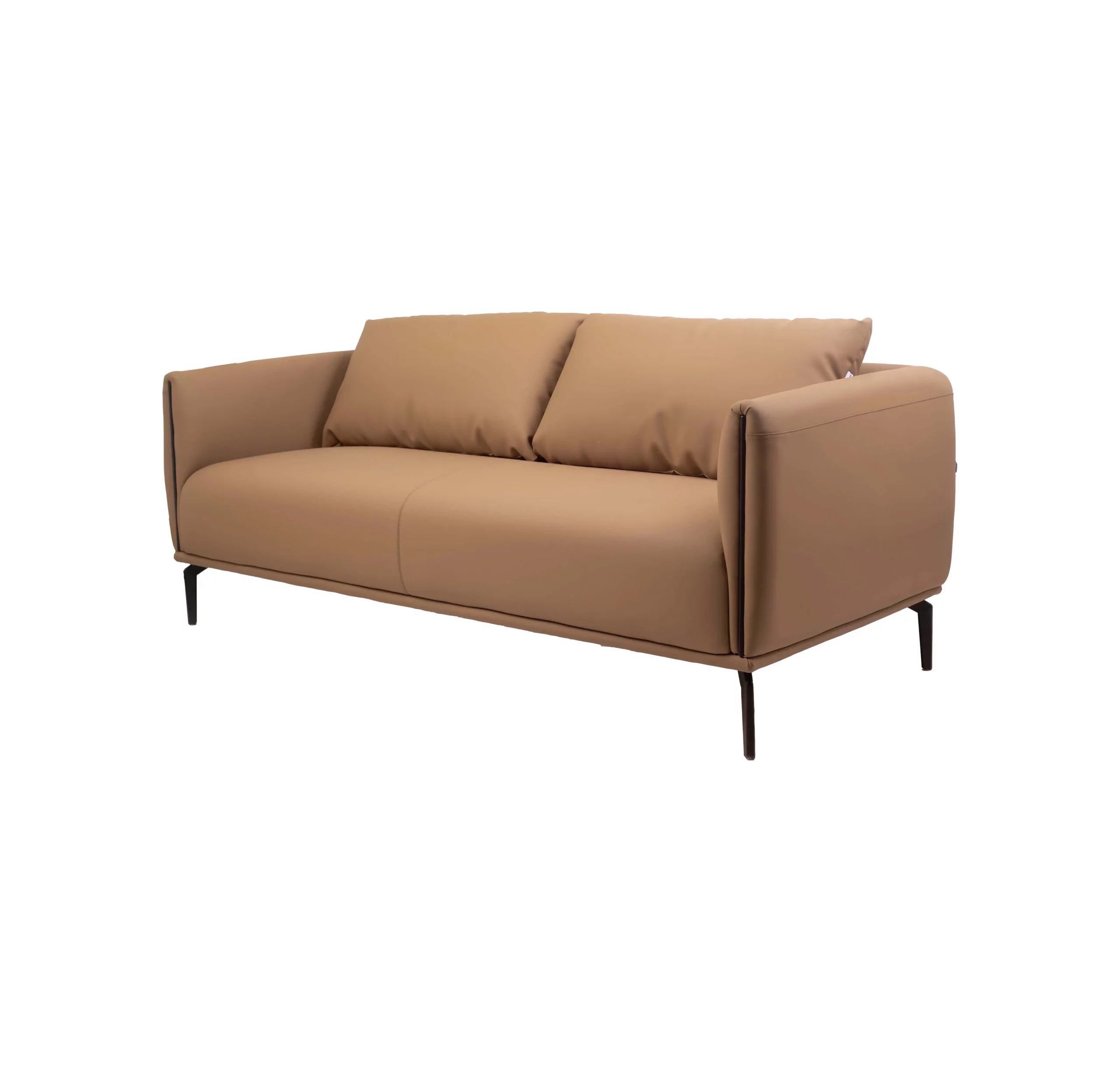 A modern, minimalist living room with a beige sofa in front of a wooden slatted wall. A textured rug is on the floor, and a green plant is beside the sofa.