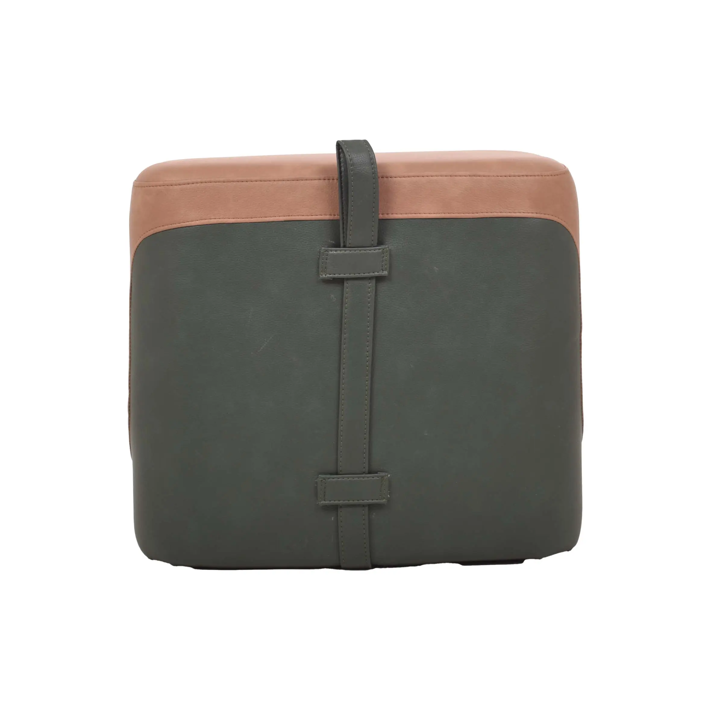 A two-toned ottoman with a tan upper and green base sits on light wood flooring. Background features modern chairs, a table, and lush plants by windows.