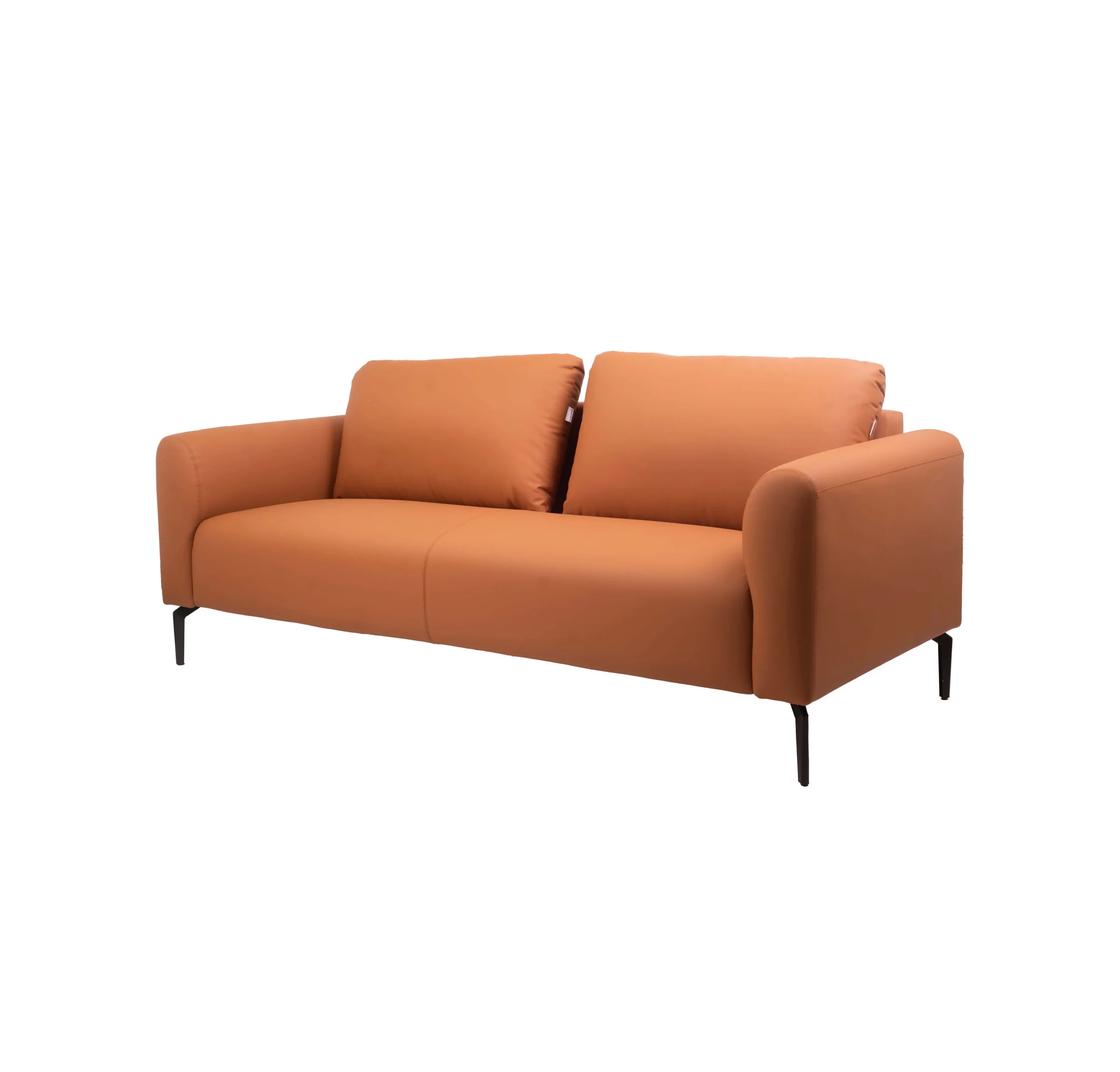 A modern living room with a terracotta sofa on a striped rug. A large abstract painting hangs above; a plant is near a window, creating a cozy vibe.