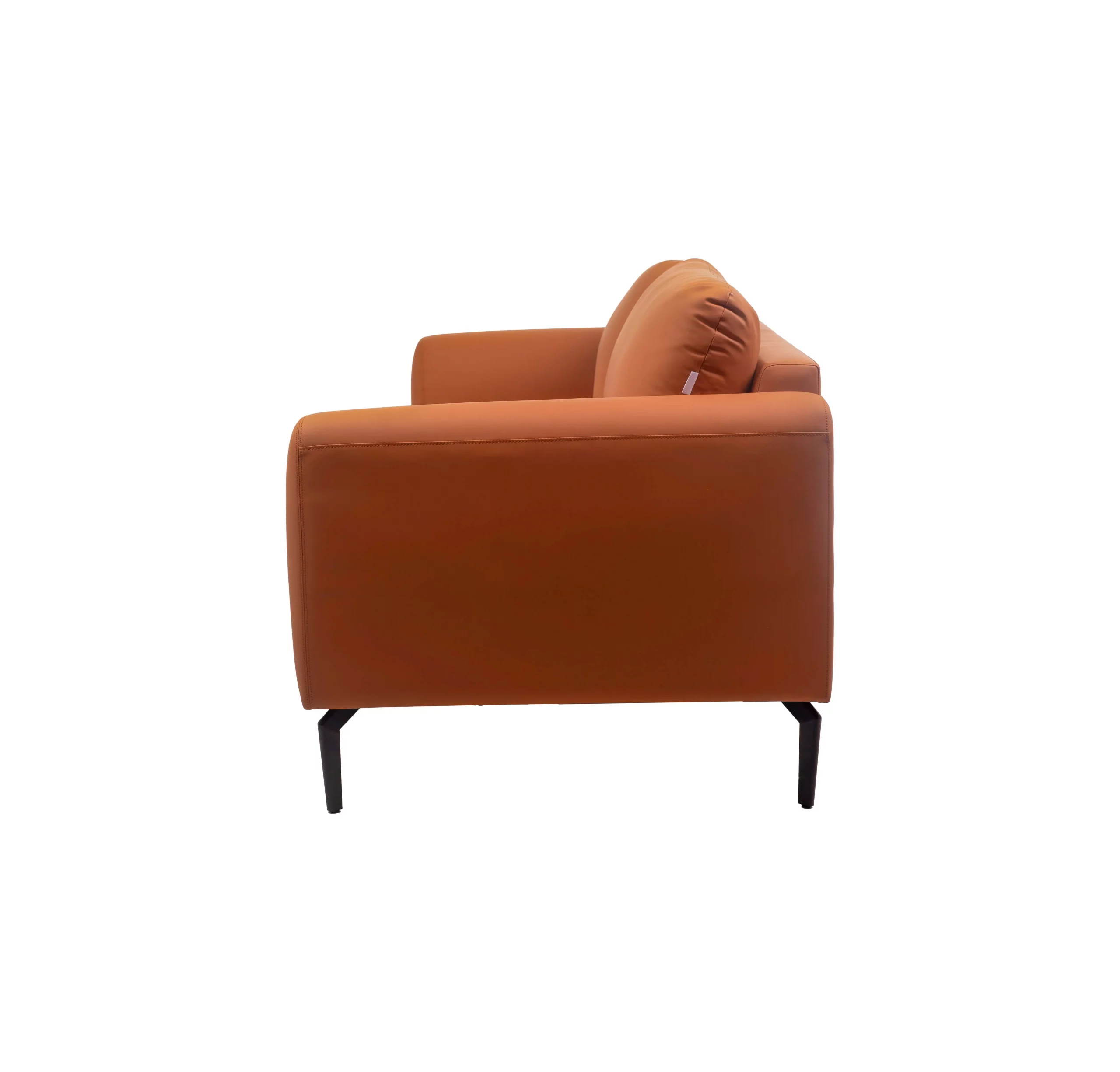 A modern living room with a terracotta sofa on a striped rug. A large abstract painting hangs above; a plant is near a window, creating a cozy vibe.