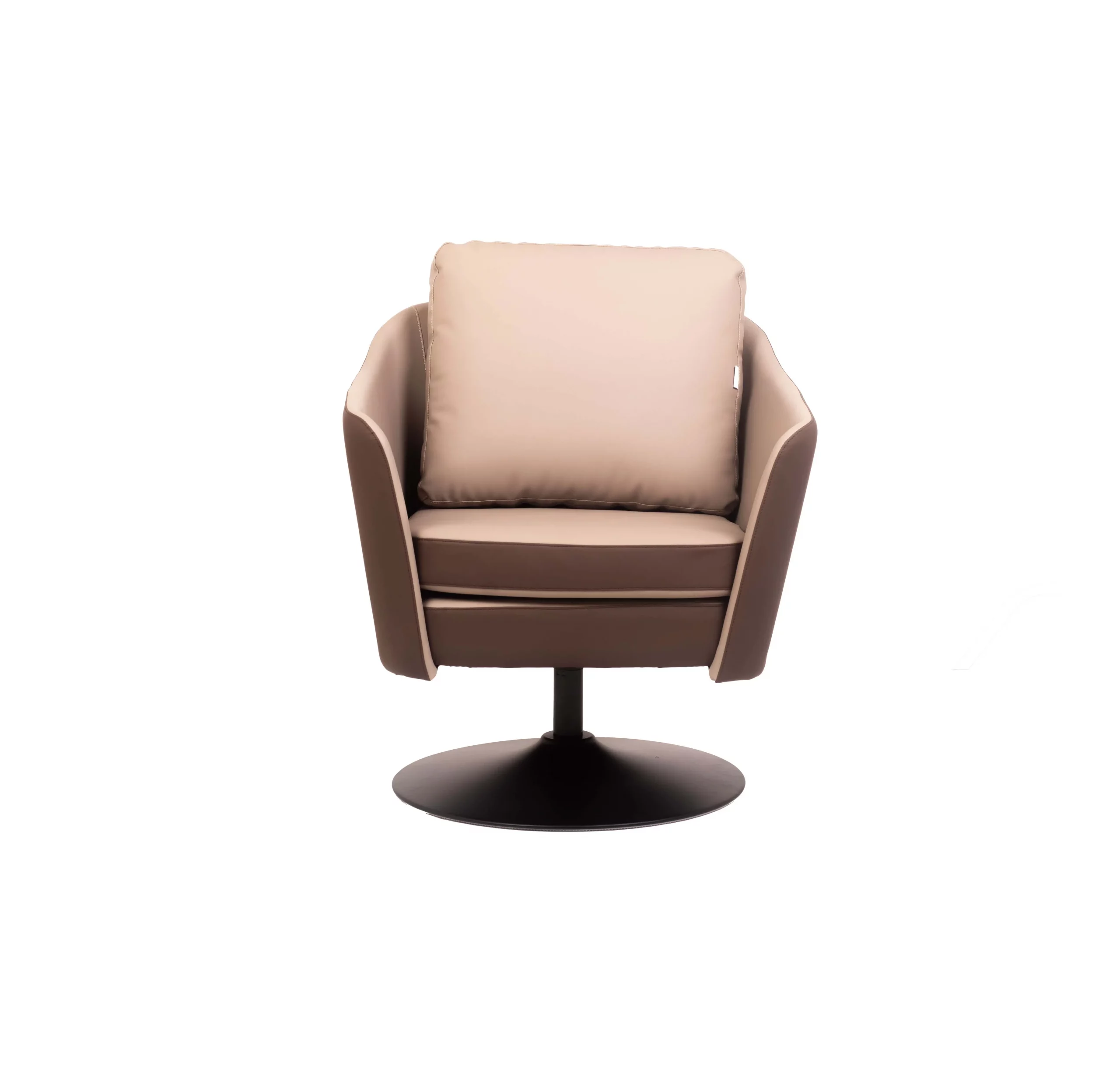 Modern office with a brown & beige swivel chair, wooden desk, and potted plant. Blinds cover large windows, creating a sleek, professional atmosphere.