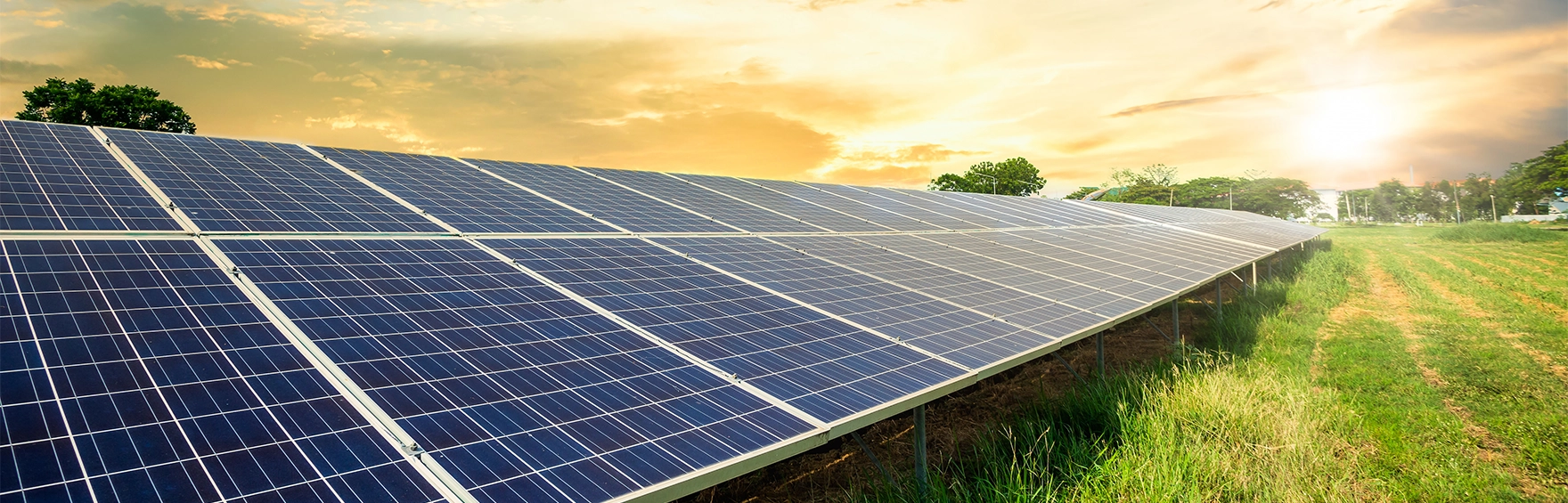 20 megawatt solar farm by IndiQube for clean energy generation